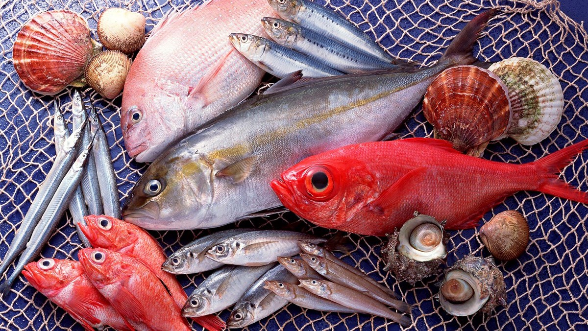 Mang cá tươi hồng đậm hoặc đỏ tươi
