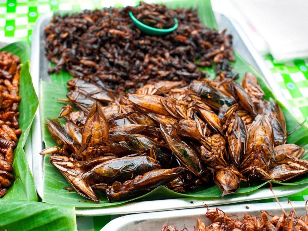 Các món côn trùng đặc trưng ẩm thực Campuchia